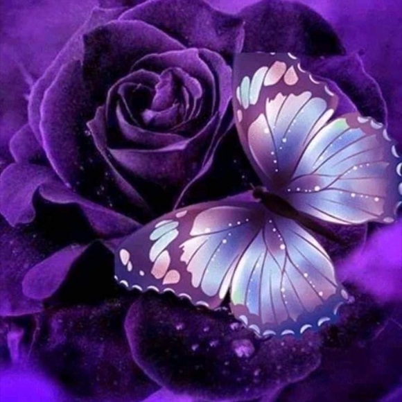 Meet your Posher, Nadine - Picture 1 of 1